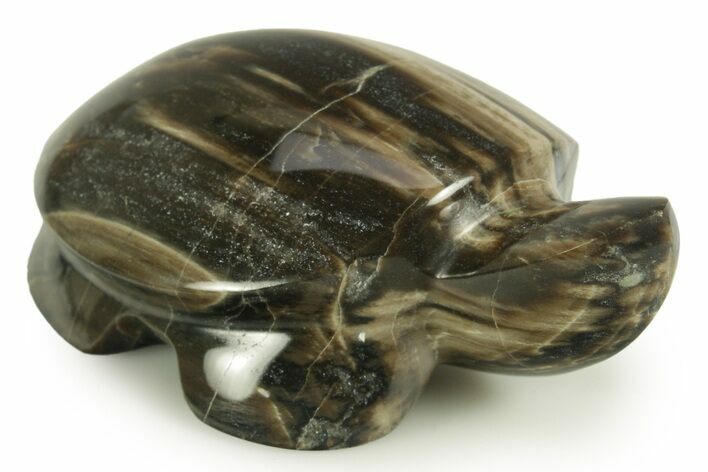 Polished Petrified Wood (Sycamore) Turtle - Nevada #366287